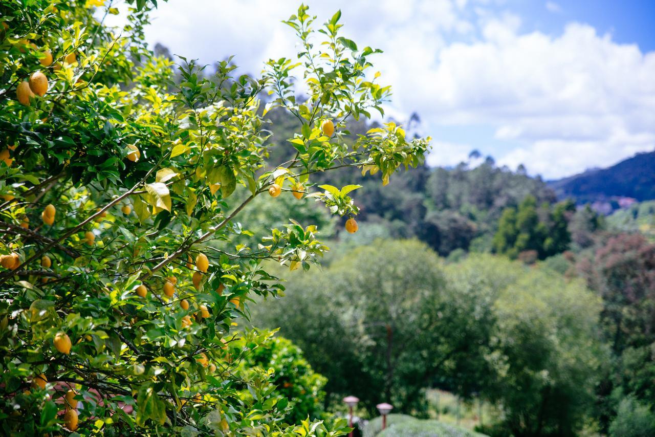 Quinta Do Rio Geres Villa Bouro ภายนอก รูปภาพ